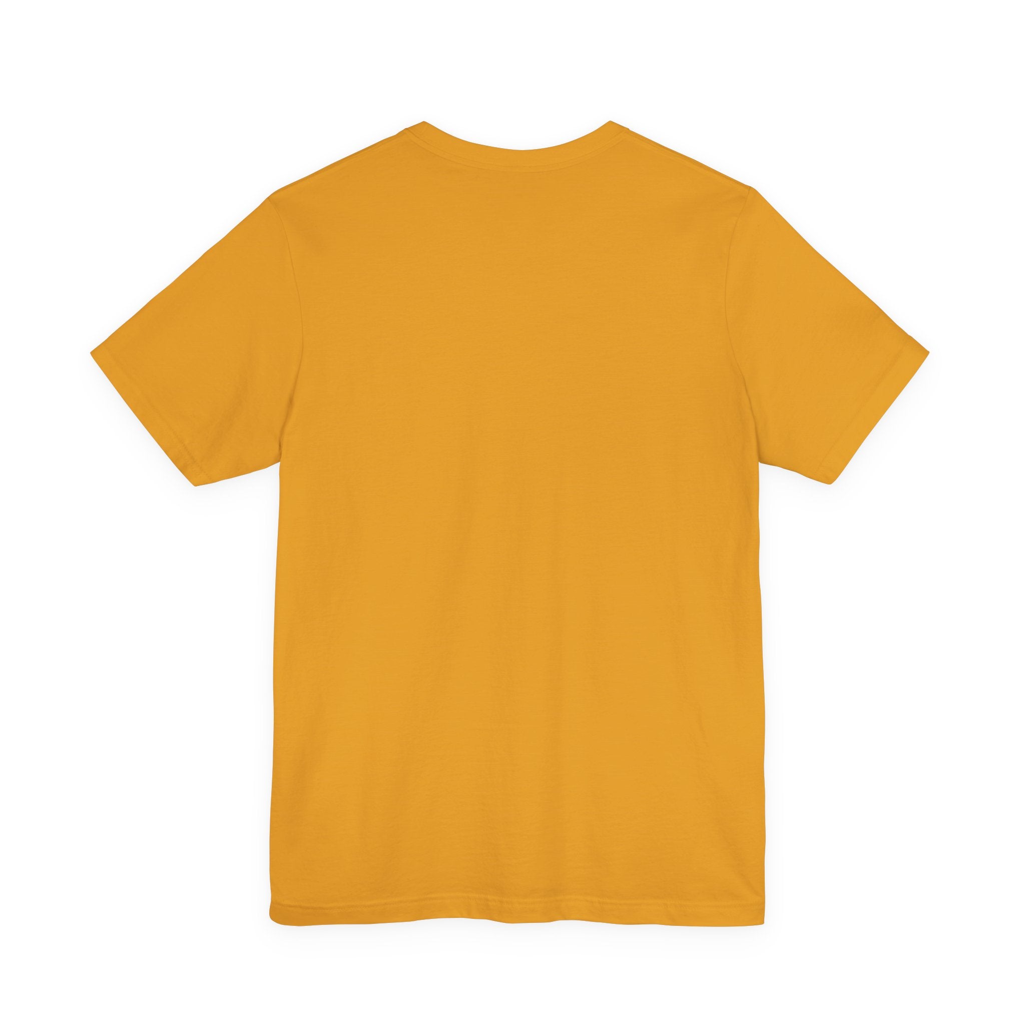 Why Not Fly? Phoenix Graphic T-Shirt